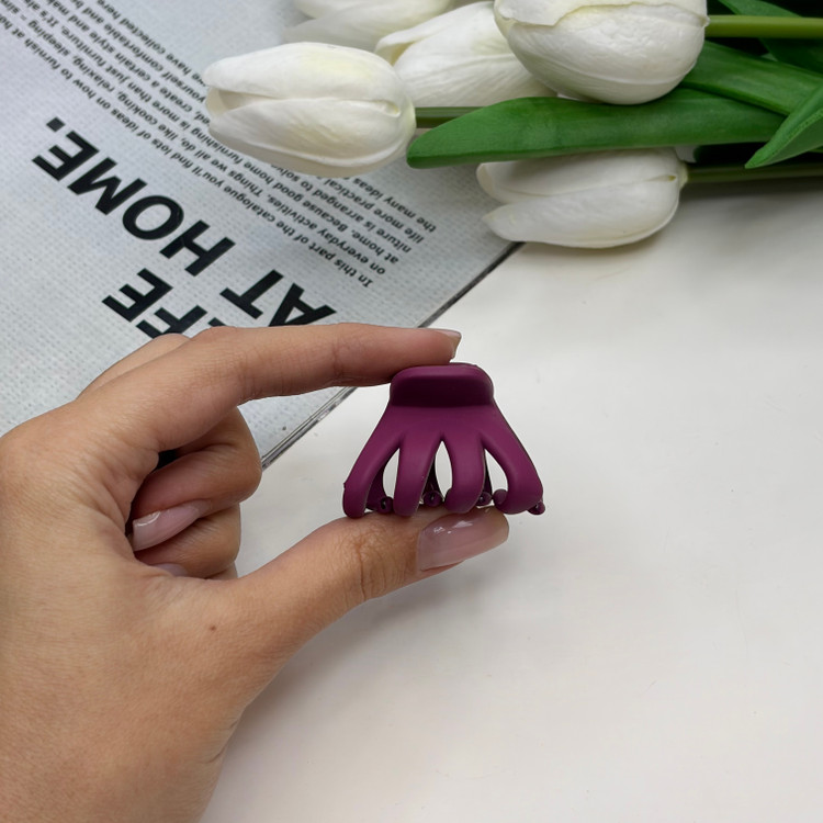 کلیپس مدل چنگکی سایز کوچک خرچنگی رنگ مات 3cm