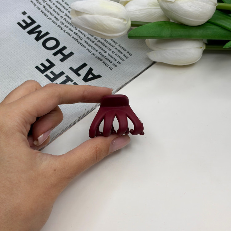 کلیپس مدل چنگکی سایز کوچک خرچنگی رنگ مات 3cm
