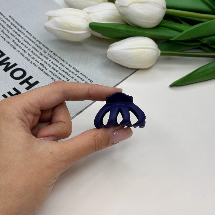 کلیپس مدل چنگکی خرچنگی سایز کوچک رنگ مات3cm