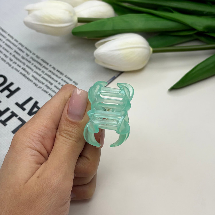 کلیپس مدل گل پلومریا سایز کوچک رنگی براق3.5cm