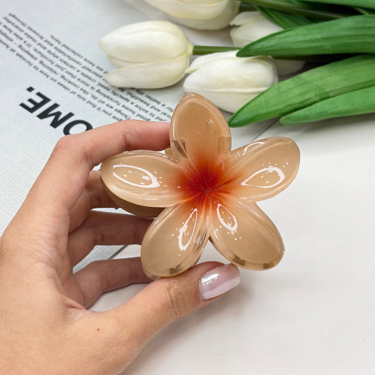 پک دوتایی کلیپس پلومریا و کش مو رنگ نود7cm